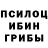 Галлюциногенные грибы мухоморы skorpion 2