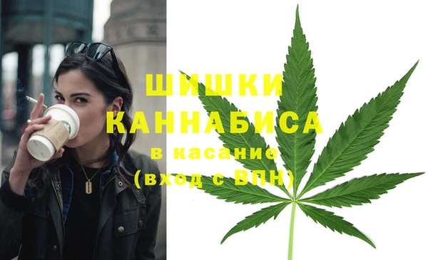 шишки Богородицк