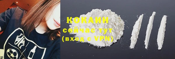шишки Богородицк