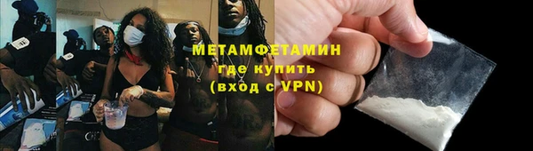 шишки Богородицк
