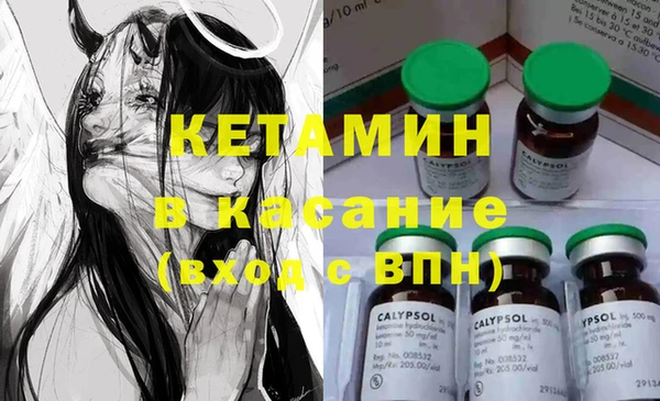 шишки Богородицк