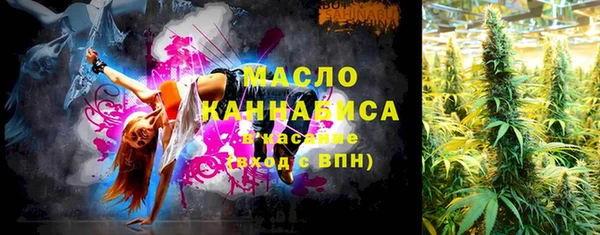 шишки Богородицк