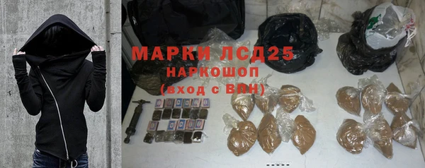 шишки Богородицк