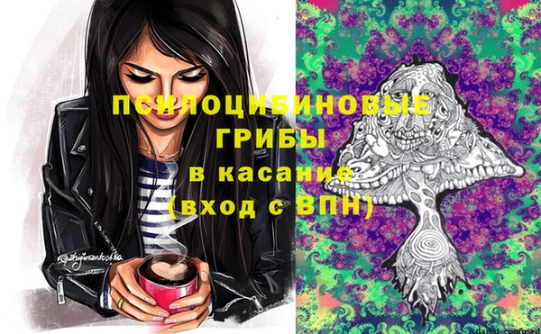 молекула духа Богородск